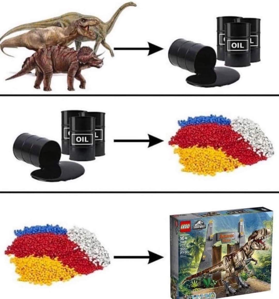 1000027692.jpg