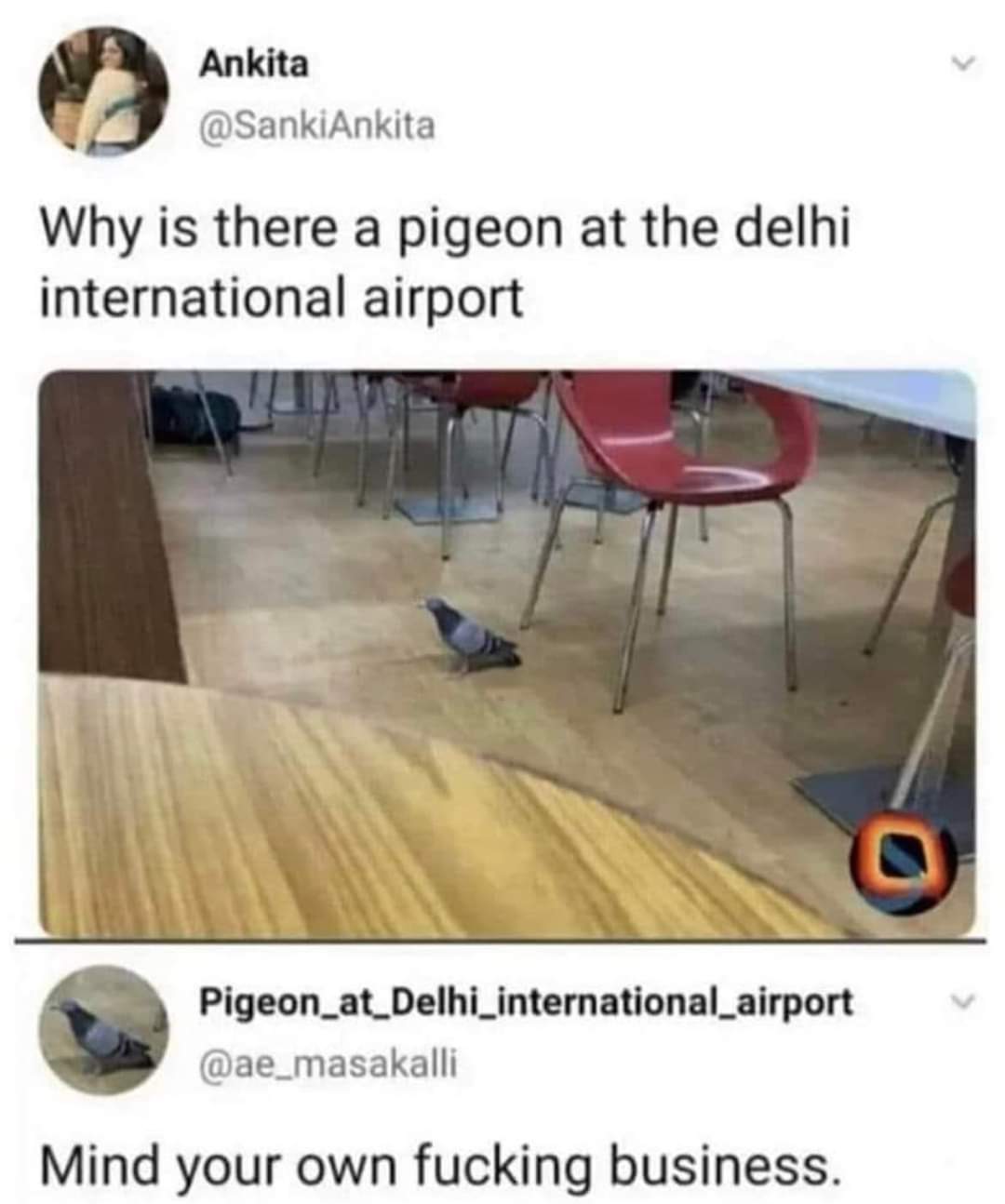 1000028284.jpg