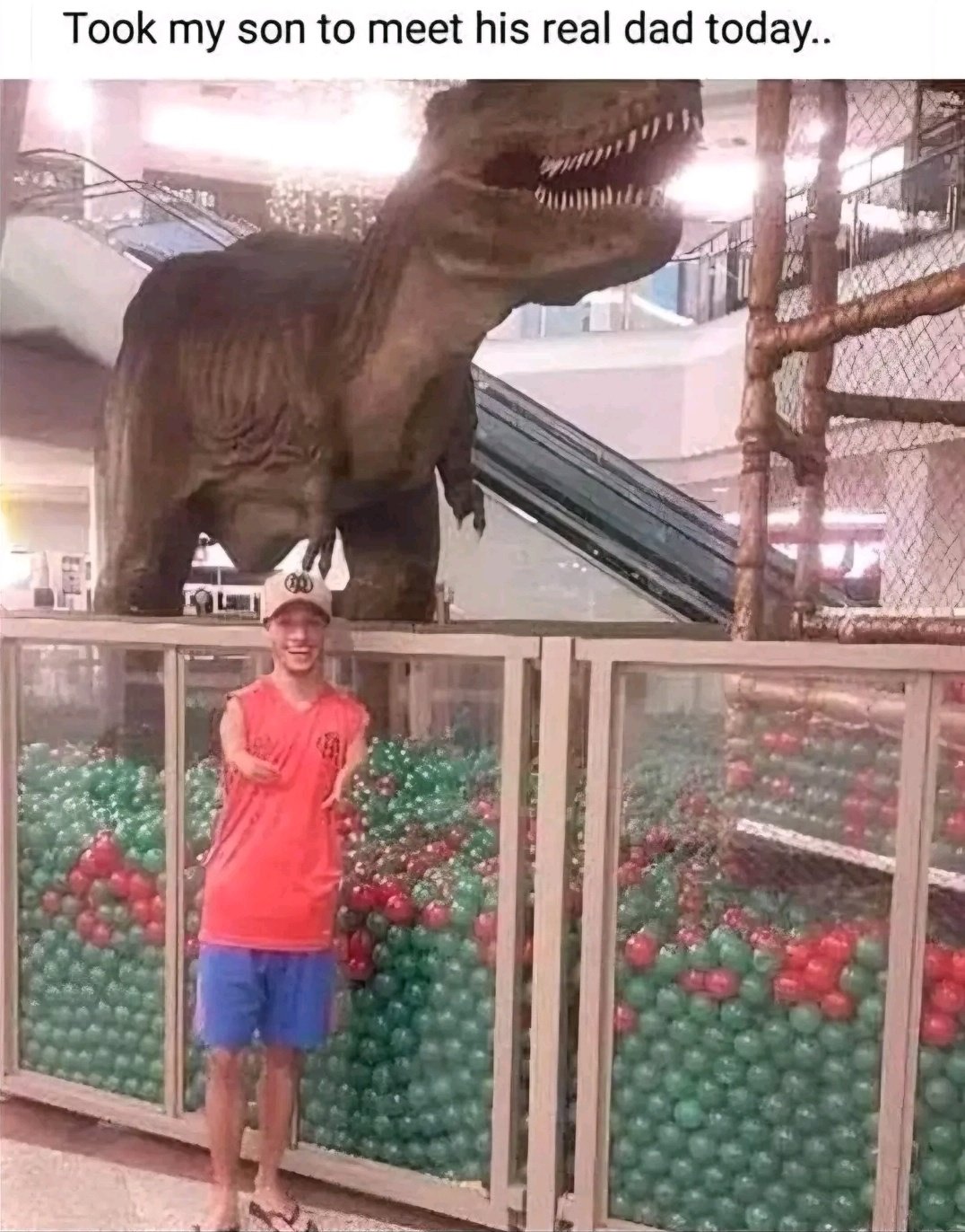 1000036172.jpg