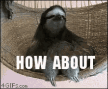 1631981542883.gif
