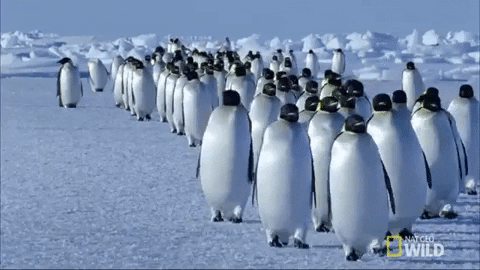 1674020622698.gif