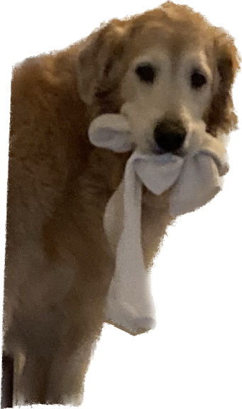 1679420843076.png