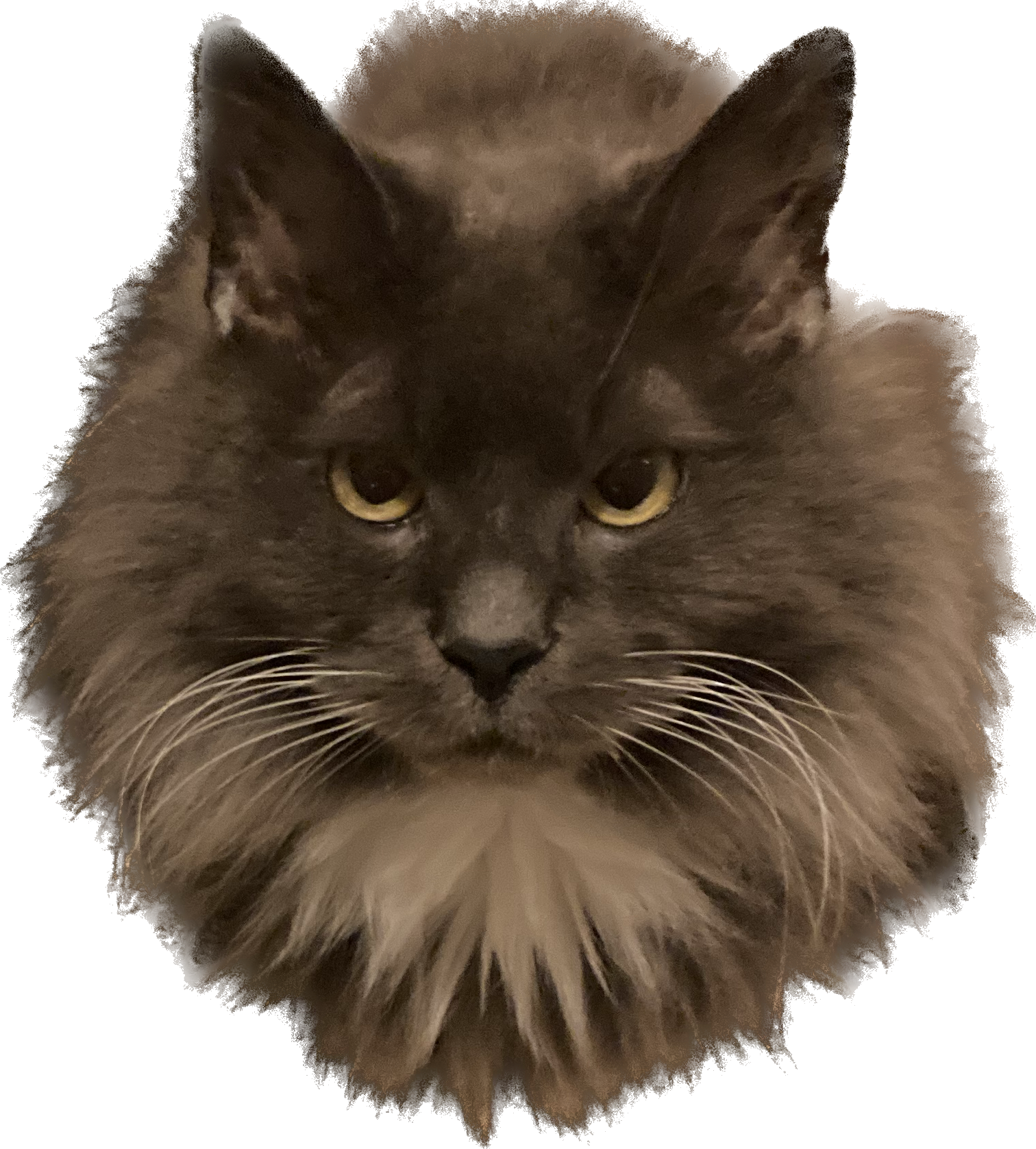 1683507313913.png