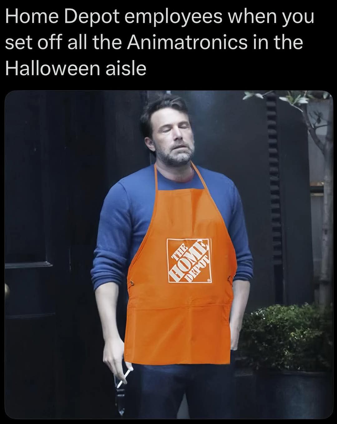 33493.jpg