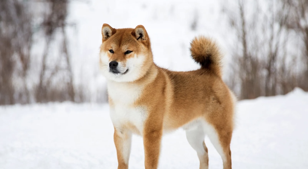94F6E84D-56DF-4491-921E-03784736C5EF.jpeg