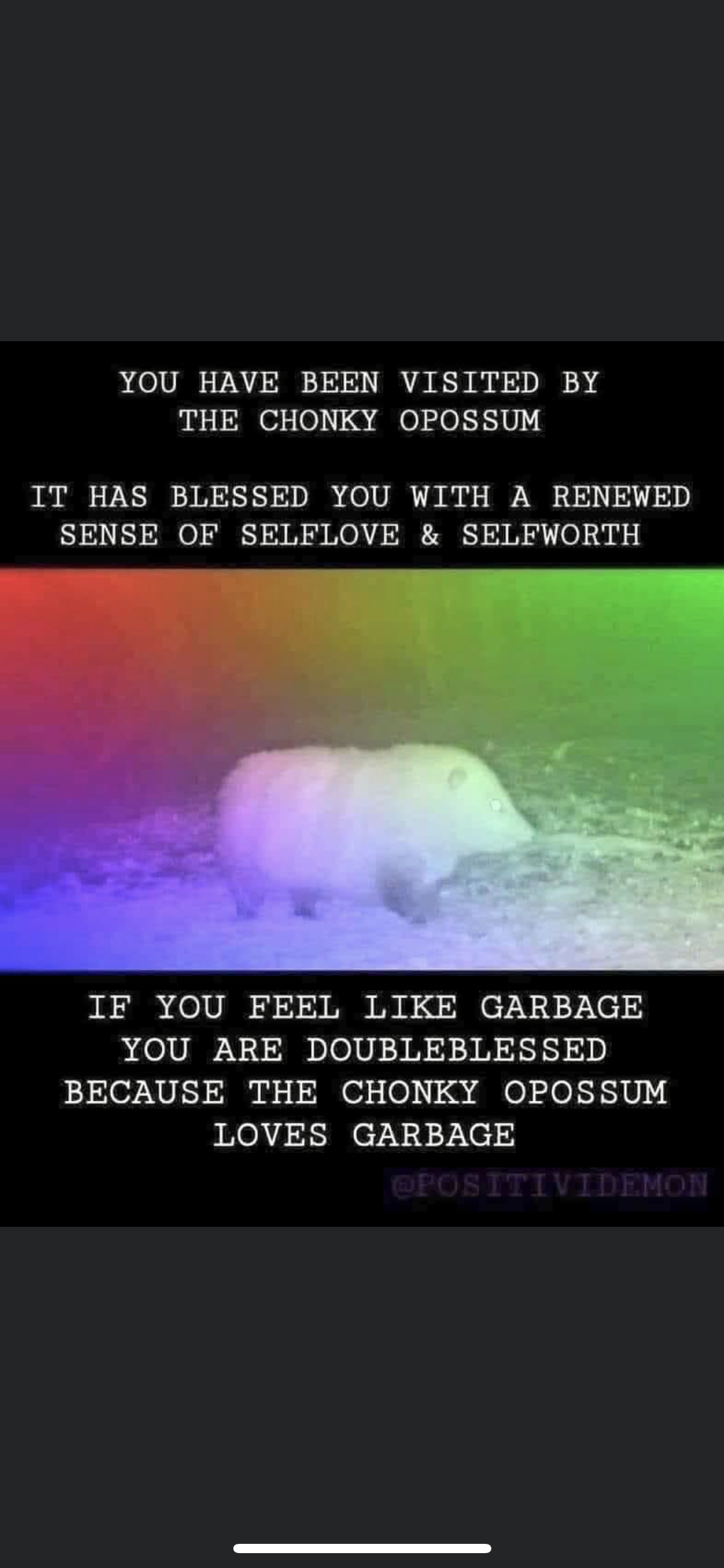 A0A2B8F2-5BDC-4D8D-B0DB-D184FD72C903.png