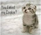 COOKIE.png