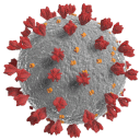 Coronavirus-128.gif