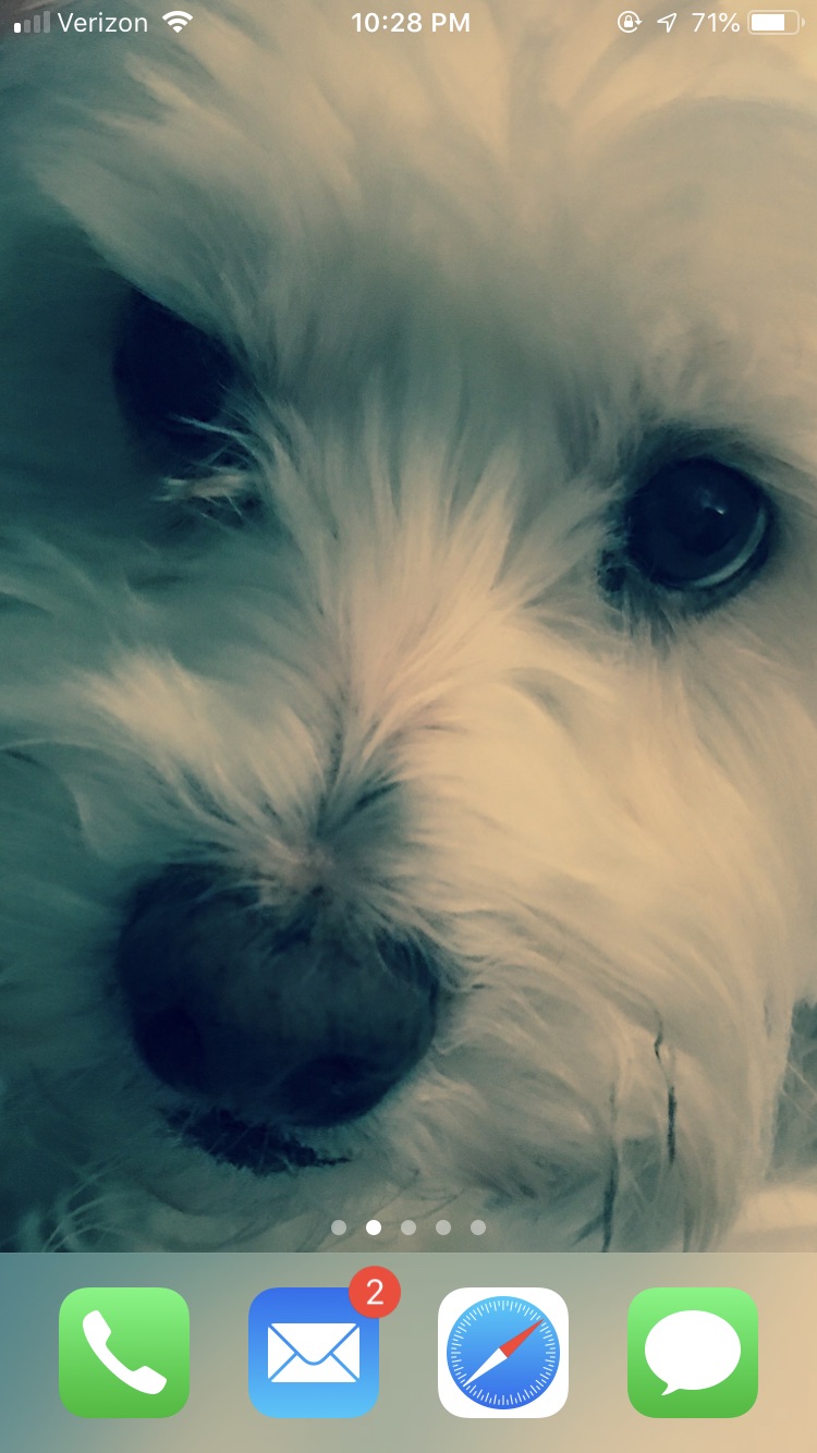 E2D91C3B-7866-4E5E-8D54-4B9658339E89.jpeg