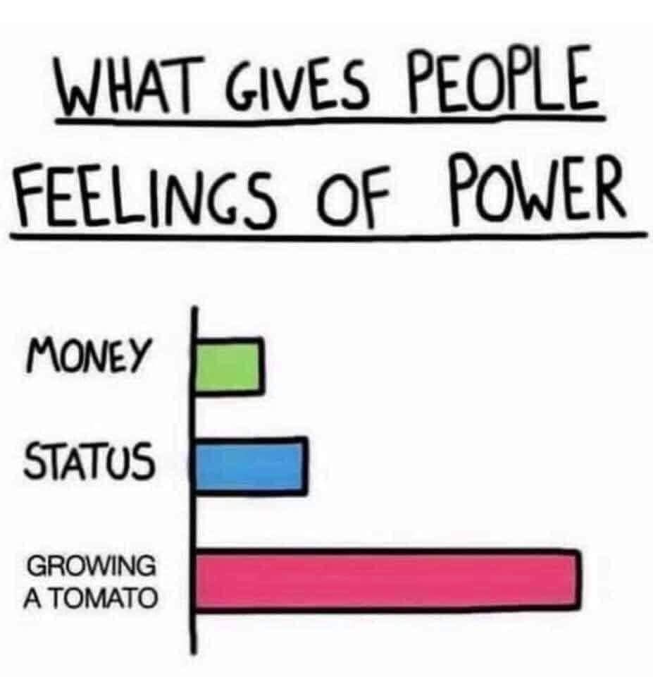 FB_IMG_1598708189799.jpg