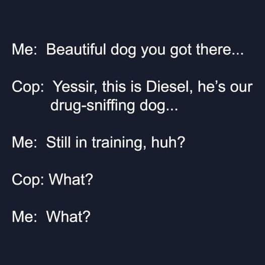 FB_IMG_1692353268129.jpg