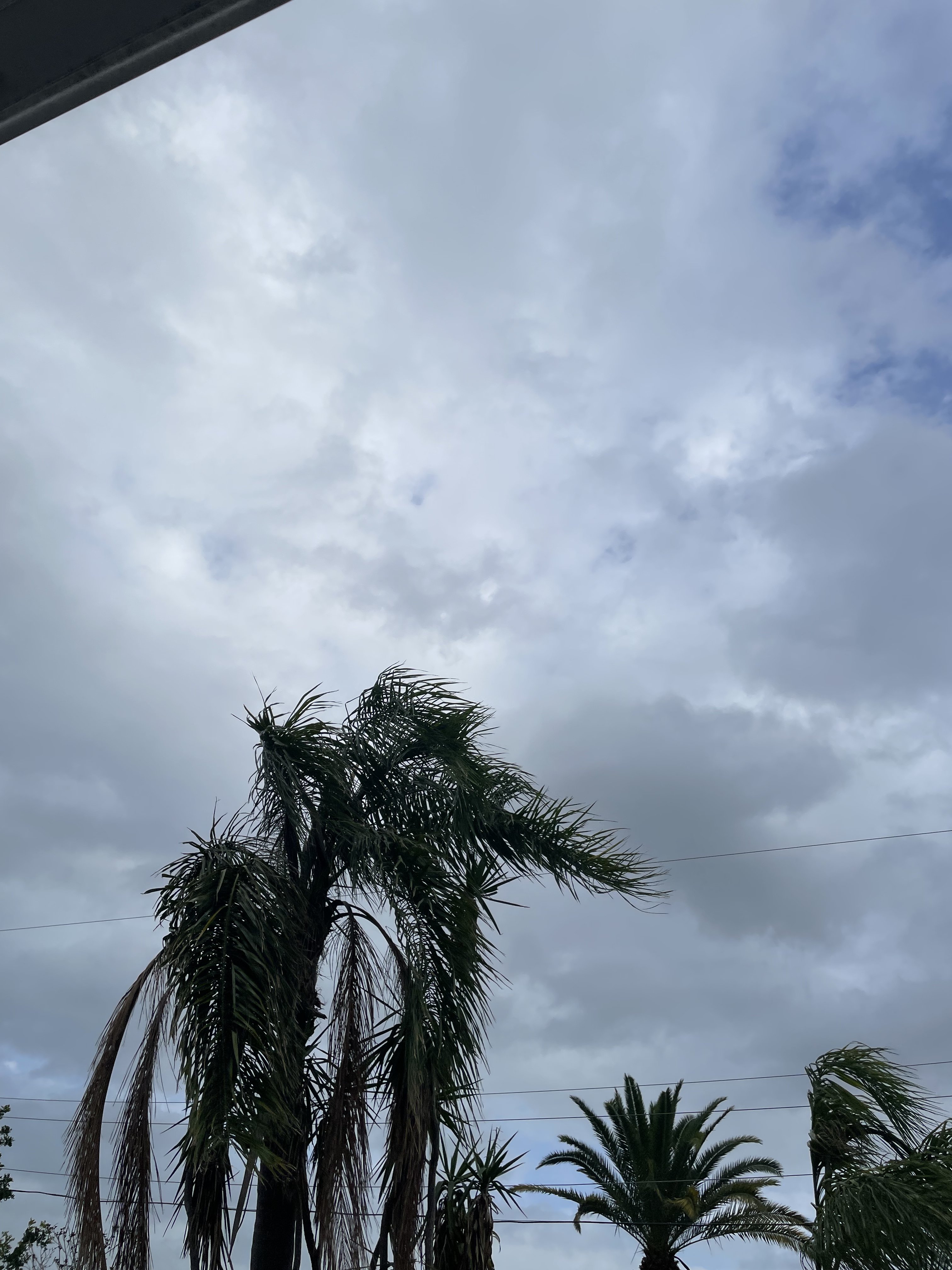 FBD312D1-157B-496D-9AB7-6655D3823E8D.jpeg