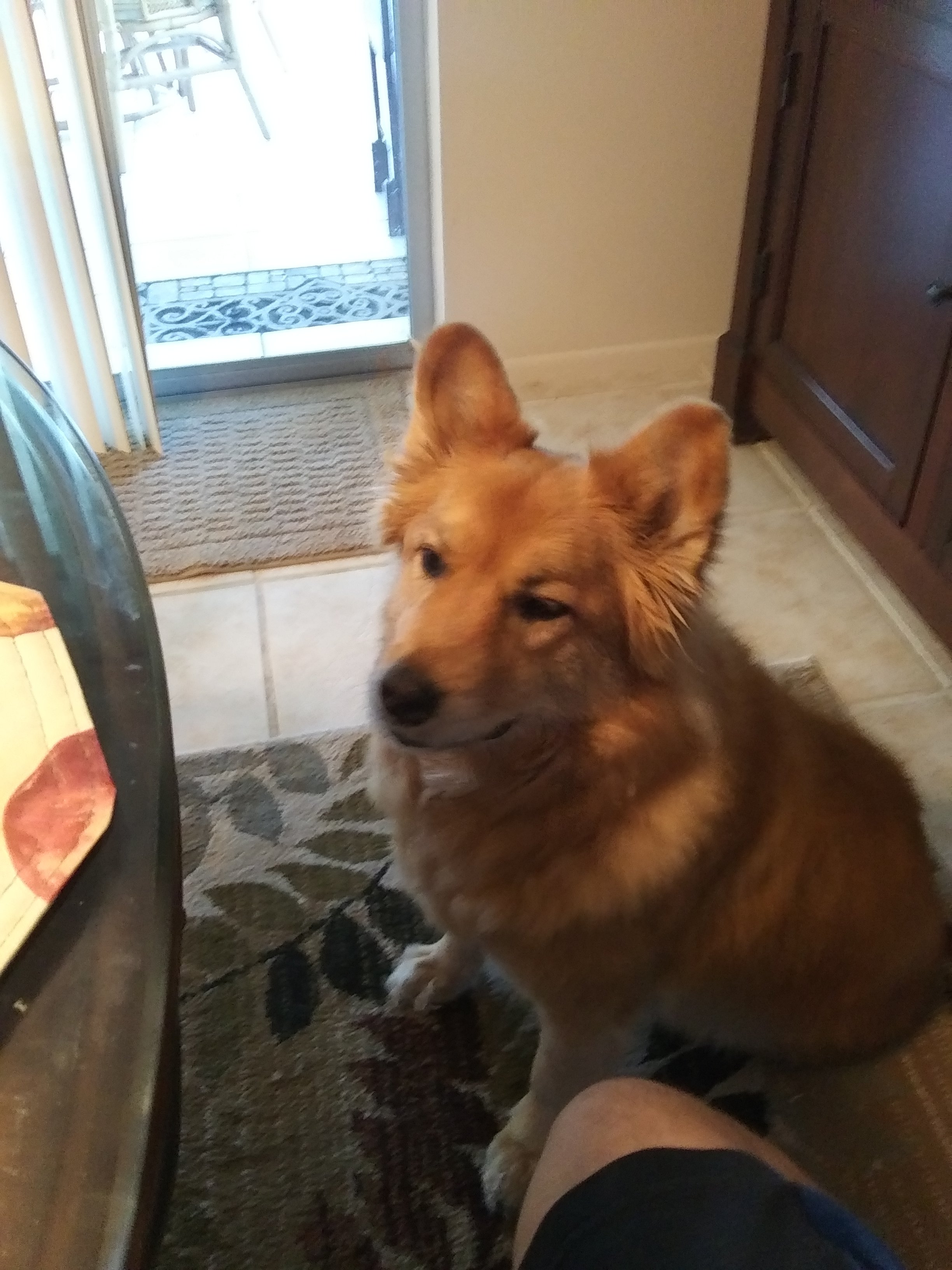Patient Peanut.jpg