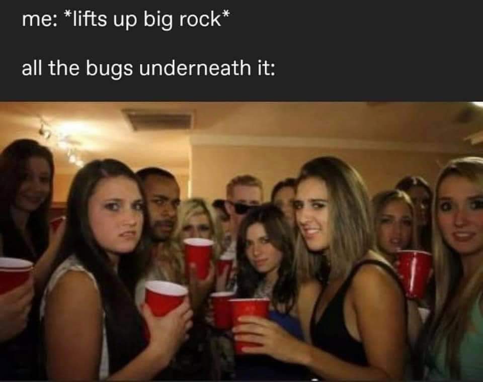 received_570479184150117.jpeg
