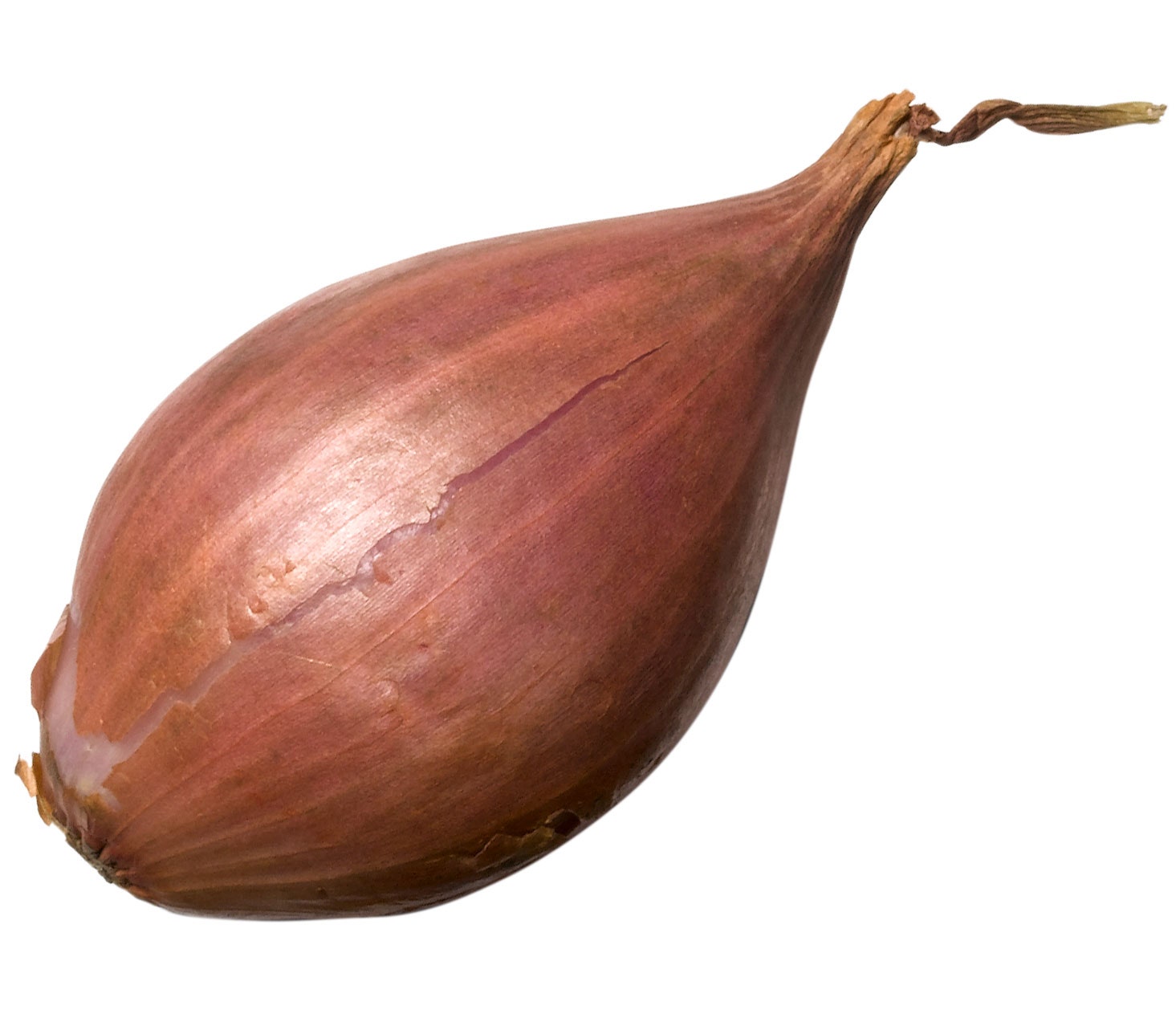 shallot-silo.jpg