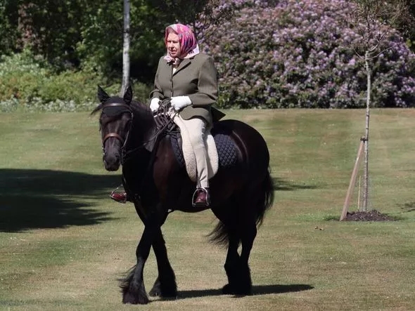 The-Queen-basked-in-the-hot-weather-as-she-rode-her-horse-2494170.jpg