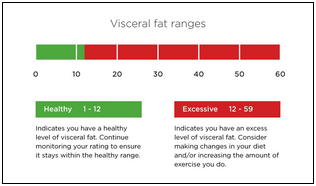 visceral-fat-ranges (1).png