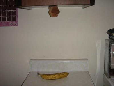 bananas 005.jpg
