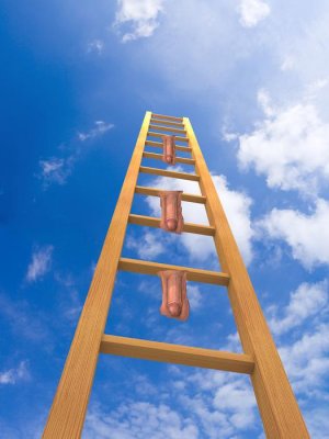 674ladder.jpg