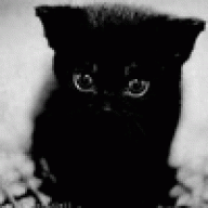 SNphoebe