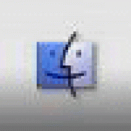 dorothypa