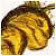 etecoushescal