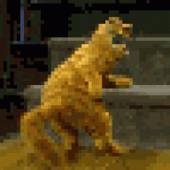 Blopeapeptife