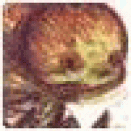 DZianxai