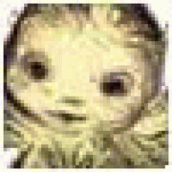 Acciltmum364