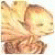 microvipdenazi