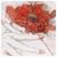 Ixbuddylist