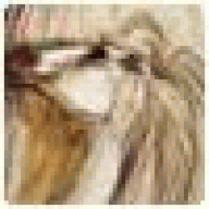 fleeptreisreN