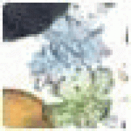 kayadiarabevy