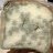 Moldy