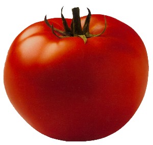 tomato_lydecker.jpg