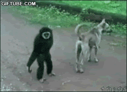 2870.gif