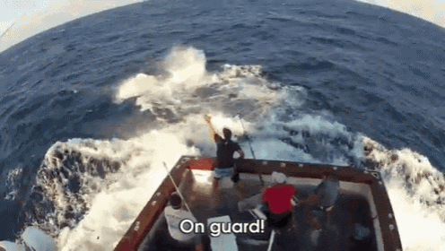 fish-sword-fight.gif