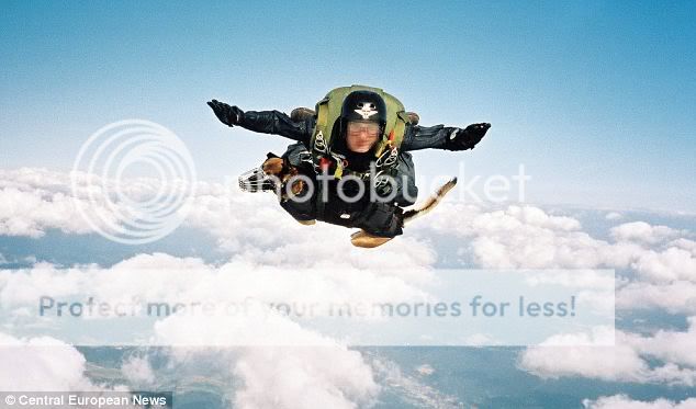 dogjump2.jpg