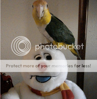 f0902fbd.png
