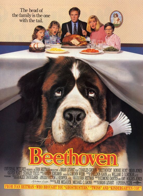 pet_blog_2_8.jpg