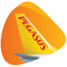 www.flypgs.com