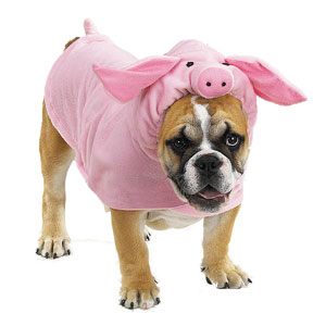 piggypoochcostume.jpg