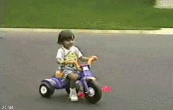 349sw043yu35.gif