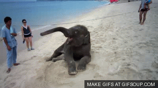 XStJOHj.gif