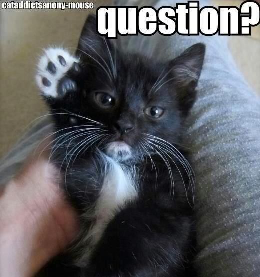 question_zpsac0cb1f0.jpg