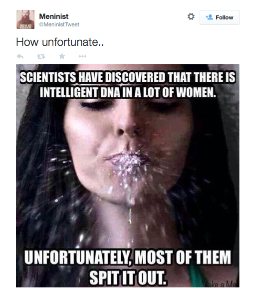 frommeninisttwitter_b8d80d_5380929.png