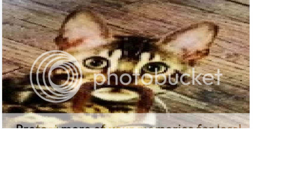 coug_zps909b2ca4.png