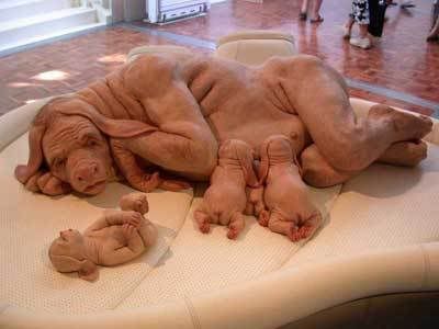 half-human-half-dog-creature.jpg