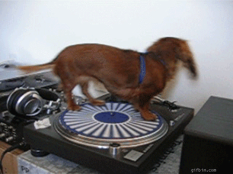 qcgh5rb0xta_zps4cbe31af.gif