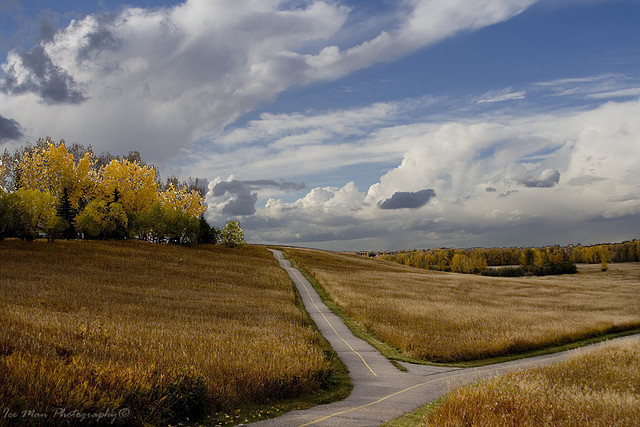fish-creek-park-calgary-1739731523.jpg